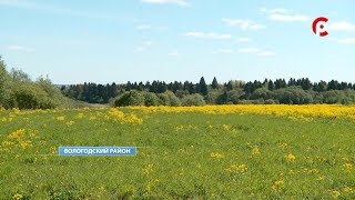 О вакцине для диких животных О вакцине для диких животных