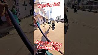 Agus Funk Dog Catching #shorts #streetdogrevival #ytviral #pets #animals #catch #rescue #dog #dogs