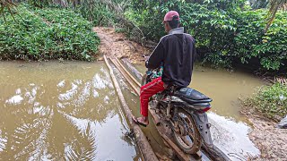 MELAWATI JEMBATAN DARURAT KEMBALI KE KEBUN