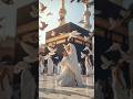 masallah🥰 makka madina very very very nice #islamicstatus #islamicvideo #trending #viral #viralvideo