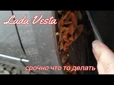 Развал на весте