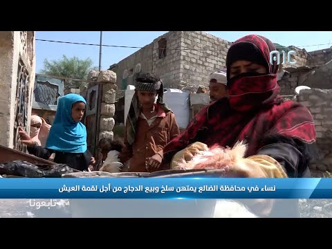 محطات نساء في محافظة الضالع ينتهن سلخ وبيع الدجاج من أجل لقمة العيش