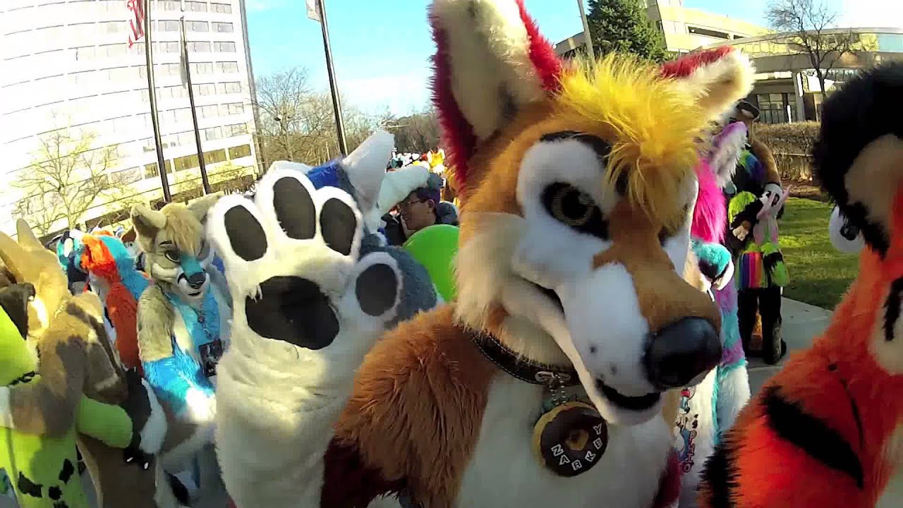 Midwest FurFest 2015 MFY Meet