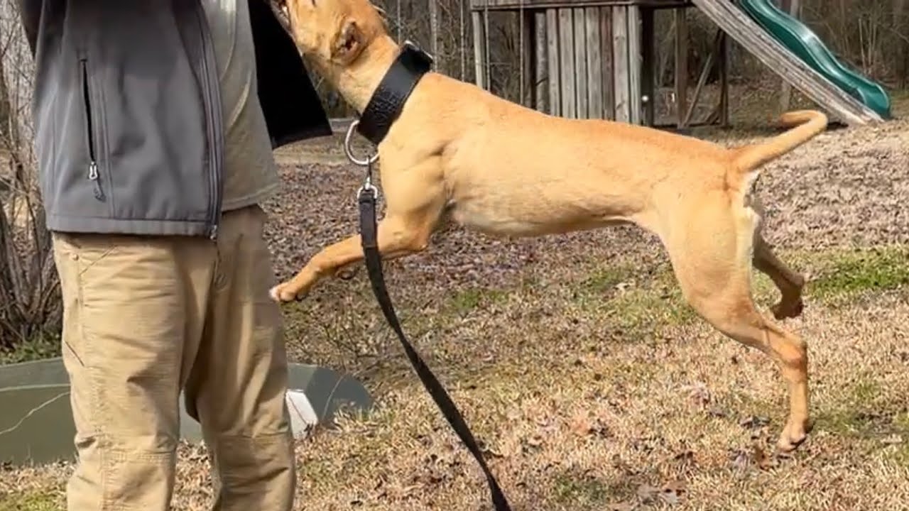 Playing with Ms. Parker