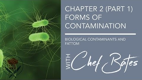 ServSafe Chapter 2: Forms of Contamination
