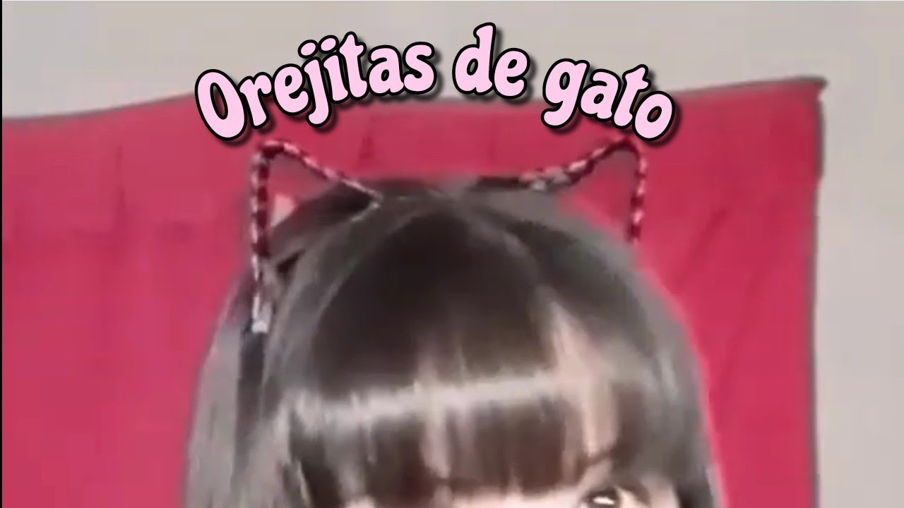 Como hacer peinado de oreja de gato/Orejitas de gato con tu cabello/La  Chica - YouTube