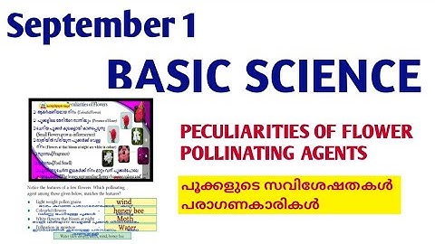 VICTERS CLASS STD 06 Basic Science Class 13lclass 6 basic science worksheet victers class 6 Workshee