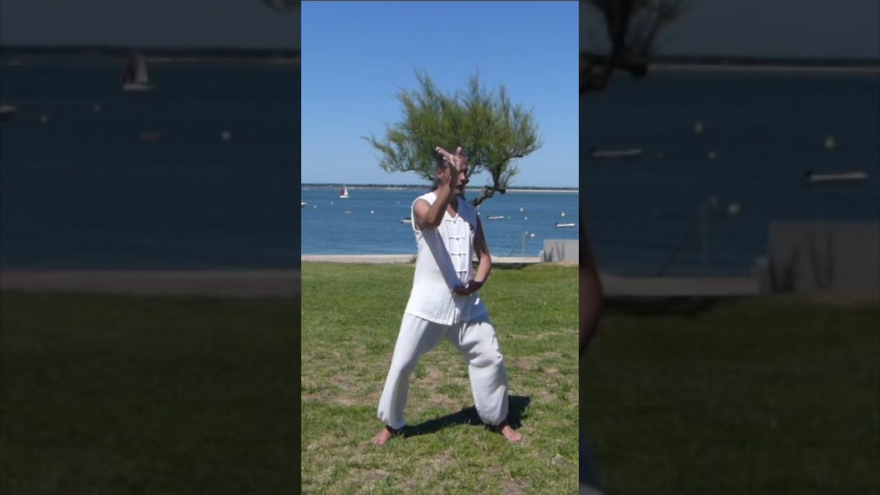 Taiji Tu (Yin Yang) in Chan Si Jin - Christoph Eberhard