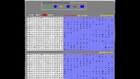 Progwhiz Hex Editor V3 video 2