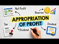 Appropriation of Profit in 7 Minutes | Format, Objectives & Real Examples