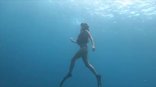 Freediving in Apo Island Dumaguete