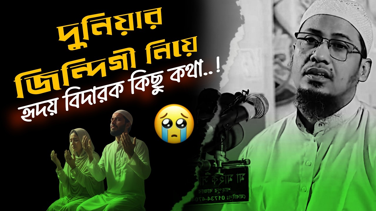 দুনিয়ার জিন্দিগী নিয়ে হৃদয় বিদারক কিছু কথা |  আনিসুর রহমান আসরাফি | Anisur Rahman Ashrafi |ওয়াজ |