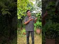 سانوں رہندا خوف ہواواں دا | پنجابی شاعری