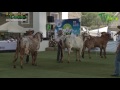 Agroferia de Bucaramanga Cenfer (2013) - TvAgro por Juan Gonzalo Angel