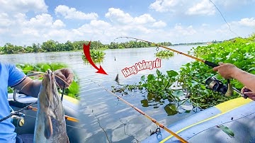 điểm câu cá sông - câu cá trê sông sài gòn - CUỘC SỐNG VÀ THỬ THÁCH