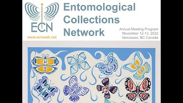 ECN 2022 Day 1, Session 2: Collections of the World Part 1