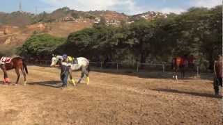 Caballo Chao se ve finito en los traqueos