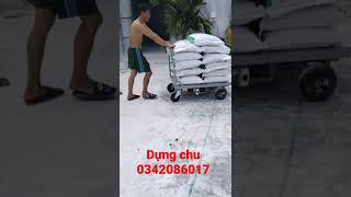 xe đẩy hàng gắn động cơ điện