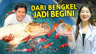 BELAKANG BENGKAL DISULAP JADI KOLEKSI RATUSAN IKAN MONSTER GEMOY! GREBEK RUMAH SACHIKO! by Iqbalizda 75,239 views 2 weeks ago 26 minutes