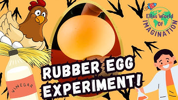 Easy Science Experiment For Kids - Rubber Egg!