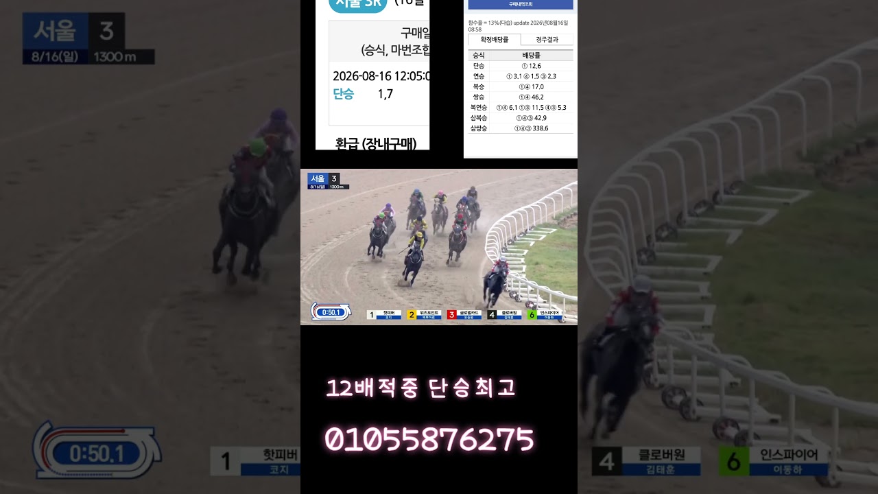 12배적중 단승  편하게