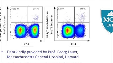 ProT2® MHC Class II Tetramers