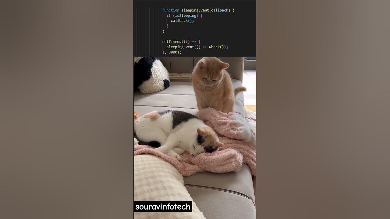 Java script settimeout method javascript html css developer 