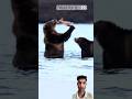 “Bear 🐻 vs Salmon 🐟 – 1 Second Catch! 😱🔥 #shorts # #viralmoment @everythingworld290