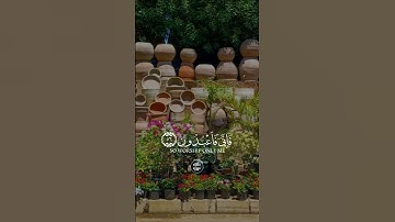 #اكتب_شي_تؤجر_عليه  ﴿كل نفس ذائقة الموت ثم إلينا ترجعون﴾ سورة العنكبوت