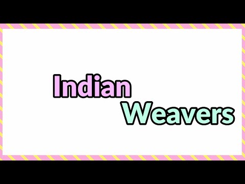 Indian Weavers Poem by Sarojini Naidu || Full Description in Hindi