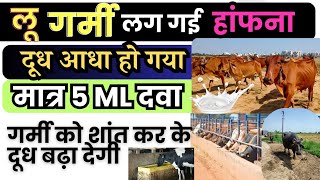 गाय भैंस लू गर्मी की चपेट में आ गई है तो मात्र 5 ML दवा से 100% ठीक 👉🏻 cow ko garmi ho jaye to kya k