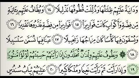 سعود الشريم سورة الإنسان من 15 إلى 20
