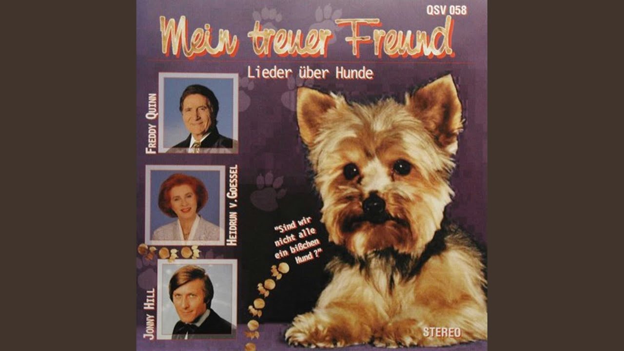 Mein Hund und ich YouTube