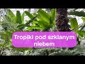 Egzotyka w centrum Polski! Tutaj odpoczniesz i zrobisz piękne zdjęcia