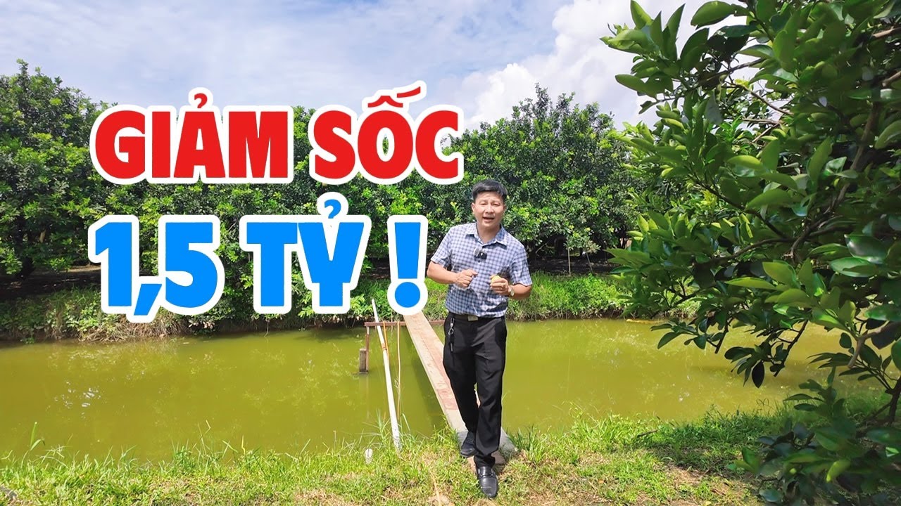 Khu vườn tâm huyết hàng chục năm cũng phải bán