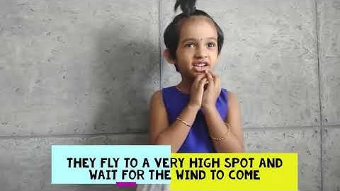 SOAR LIKE AN EAGLE l MOTIVATIONAL SPEECH l SARAH ELIZABETH MANU