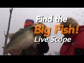 How to Locate and Catch GIANT BASS! Guaranteed-Garmin Live Scope #GarminHuntFish