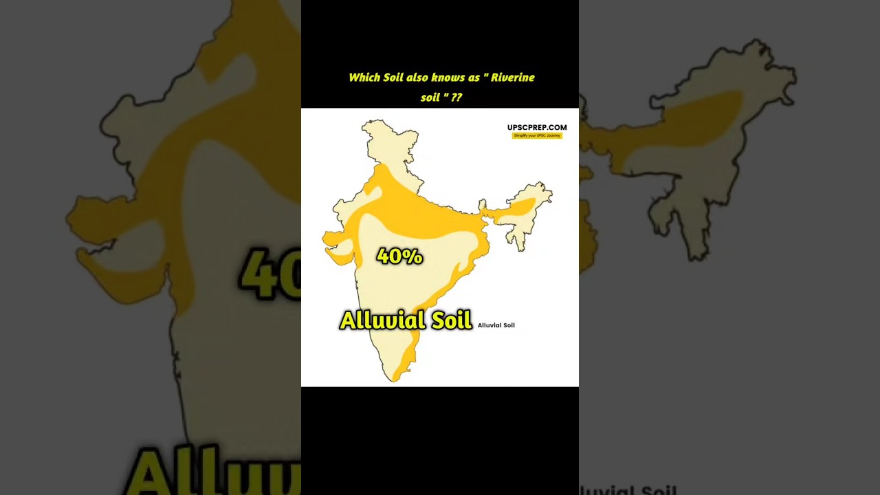 " 𝗦𝗼𝗶𝗹𝘀 𝗼𝗳 𝗶𝗻𝗱𝗶𝗮 ". Soils in india || types of Soils & Their Properties || 