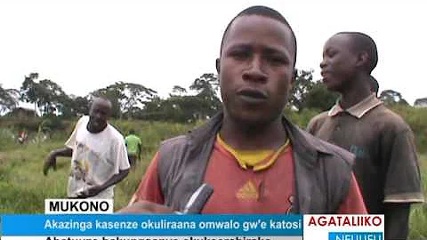 Akazinga kasenze okuliraana omwalo gw’ekatosi