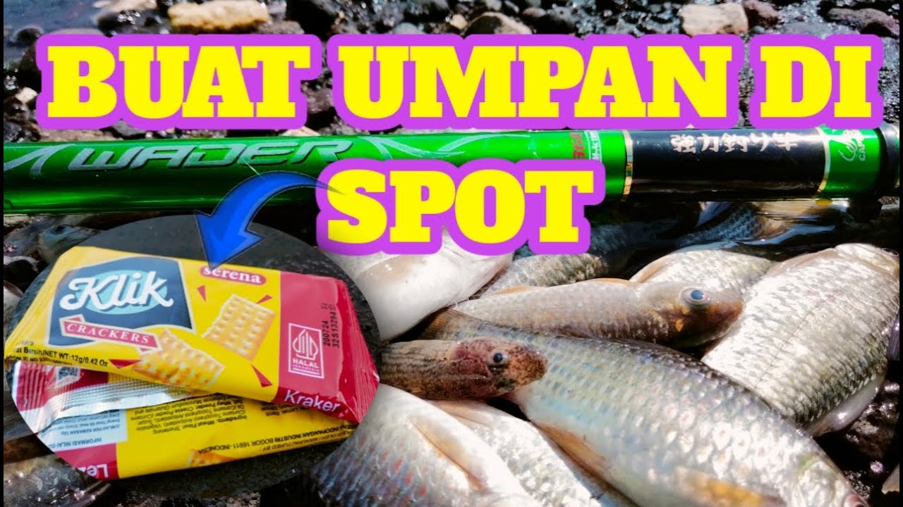 KALIAN HARUS COBA UMPAN ROTI KLIK EMANG GACOR, BUAT UMPAN DI SPOT DAN LANGSUNG TESTER .