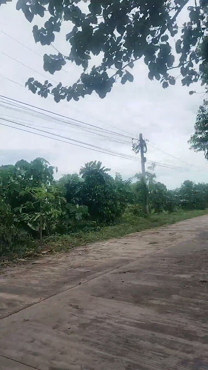 Aftermath of bagyong Opong