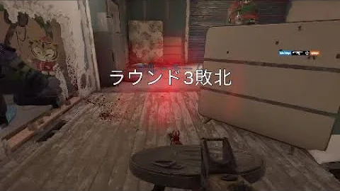 レインボー シックス シージ グリッチ