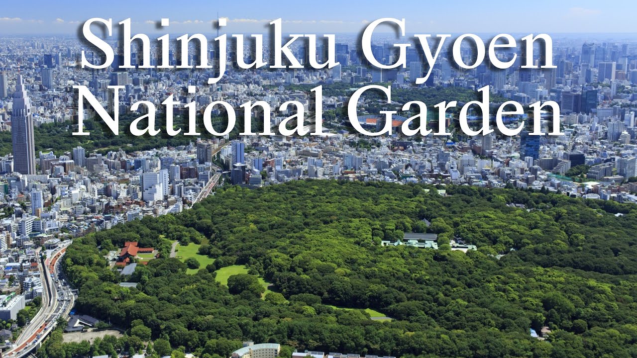 Discover the Natural Oasis in the Heart of Tokyo: Shinjuku Gyoen Park