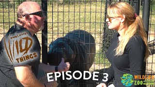 Brady Bogen + Kristy Morcom's Wild Things | Episode 3 Net Worth