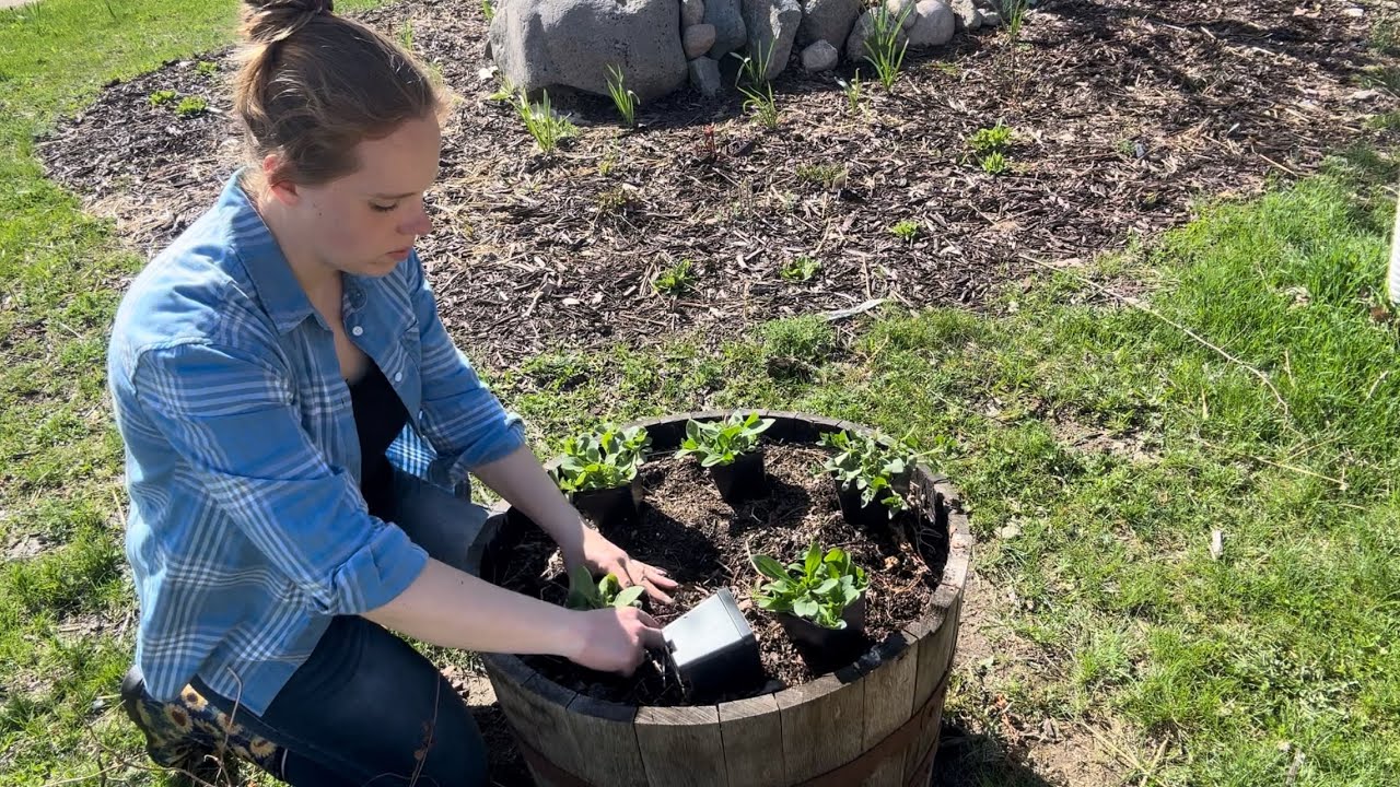 Planting The First Summer Annuals Of The Year! | Simply Bloom