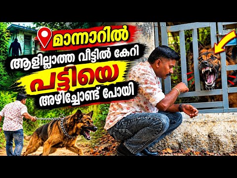 നാട്ടുകാർ ഉണ്ടായതുകൊണ്ട് രക്ഷപെട്ടു .. Dog challenge 