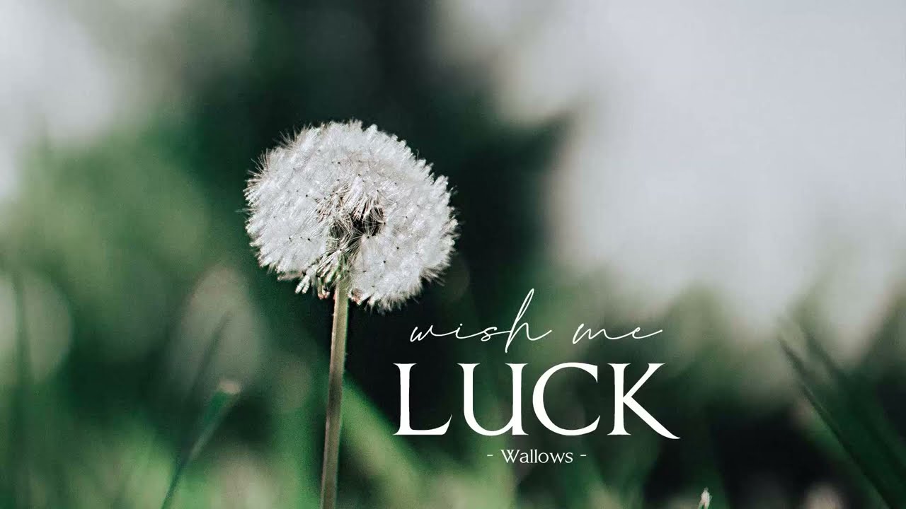 Vietsub | Wish Me Luck - Wallows | Lyrics Video - Youtube