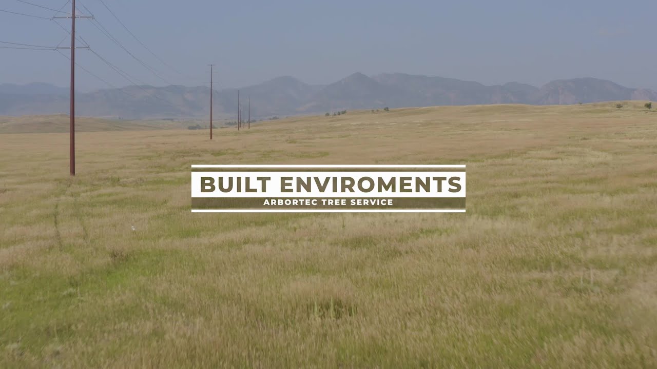 Tree Environments in Colorado | Built Environment | Arbortec Tree Service | Professional Tree Care