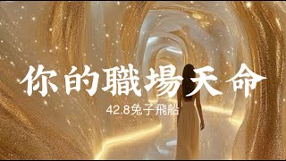【字幕】療癒塔羅占卜🦄️  你的職業天命&靈魂天賦?你適合的工作?✨42.8兔子飛船✨