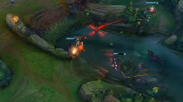 Warwick Q flash follow 1